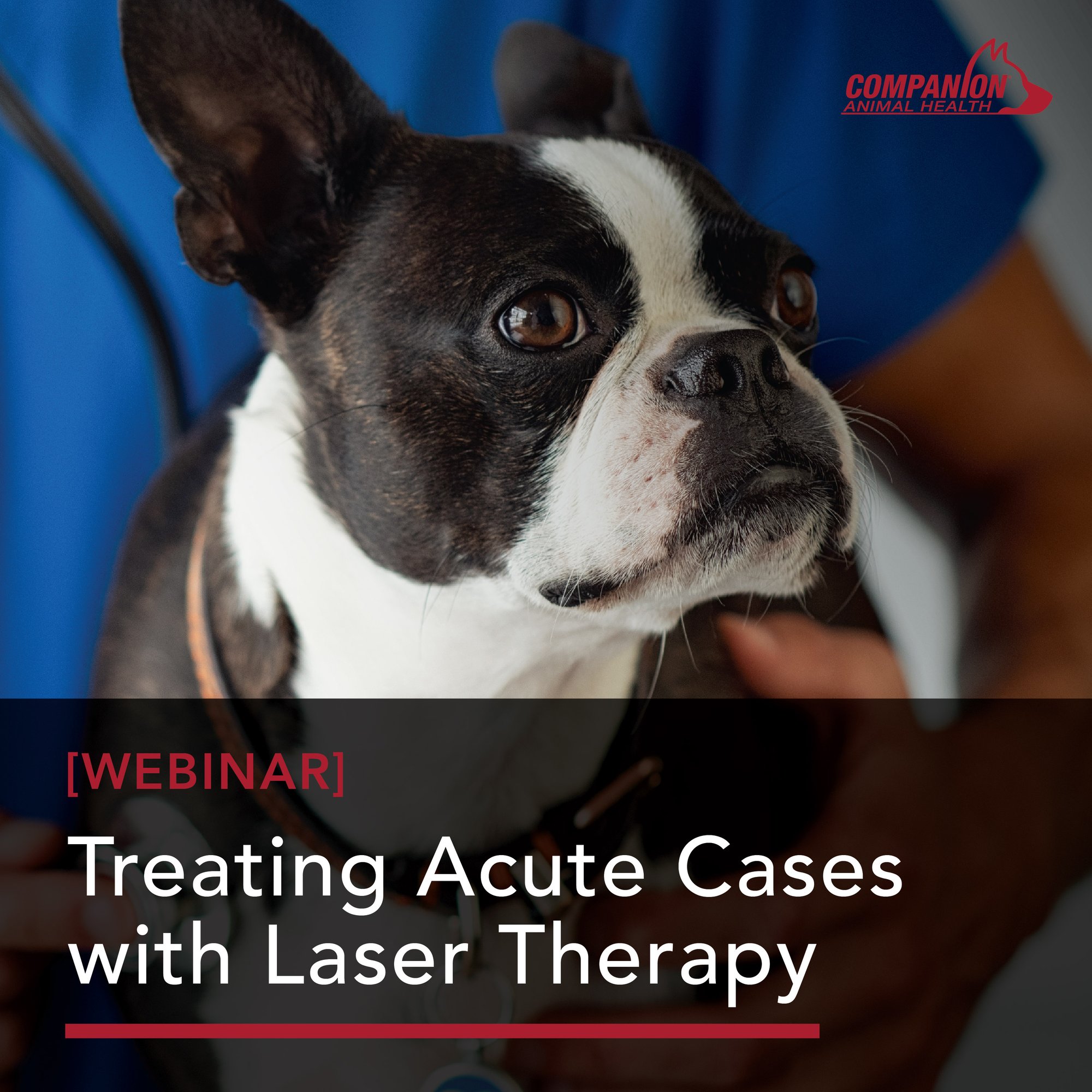 1_2021_CAH_Treating Acute Cases-02