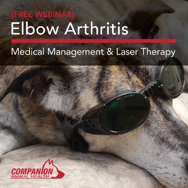 3175_OA Webinar social-02-1