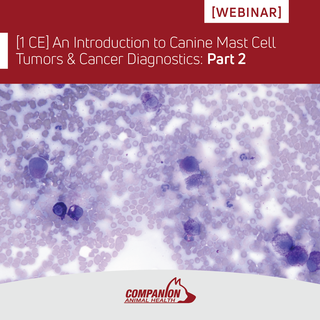 An Intro to Canine Mast Cell Tumors and Cancer Diagnostics-02
