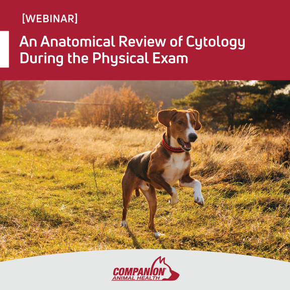 Anatomical Review of Cytology webinar social graphic