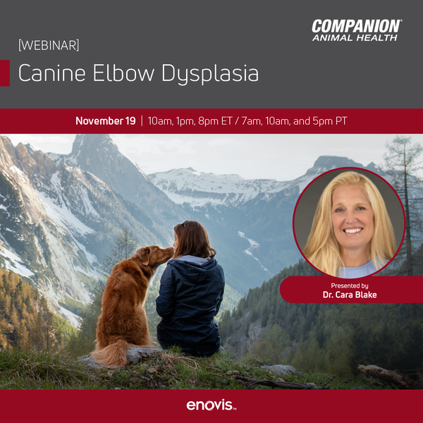 CAH_Canine Elbow Dysplasia-01 (1)-1