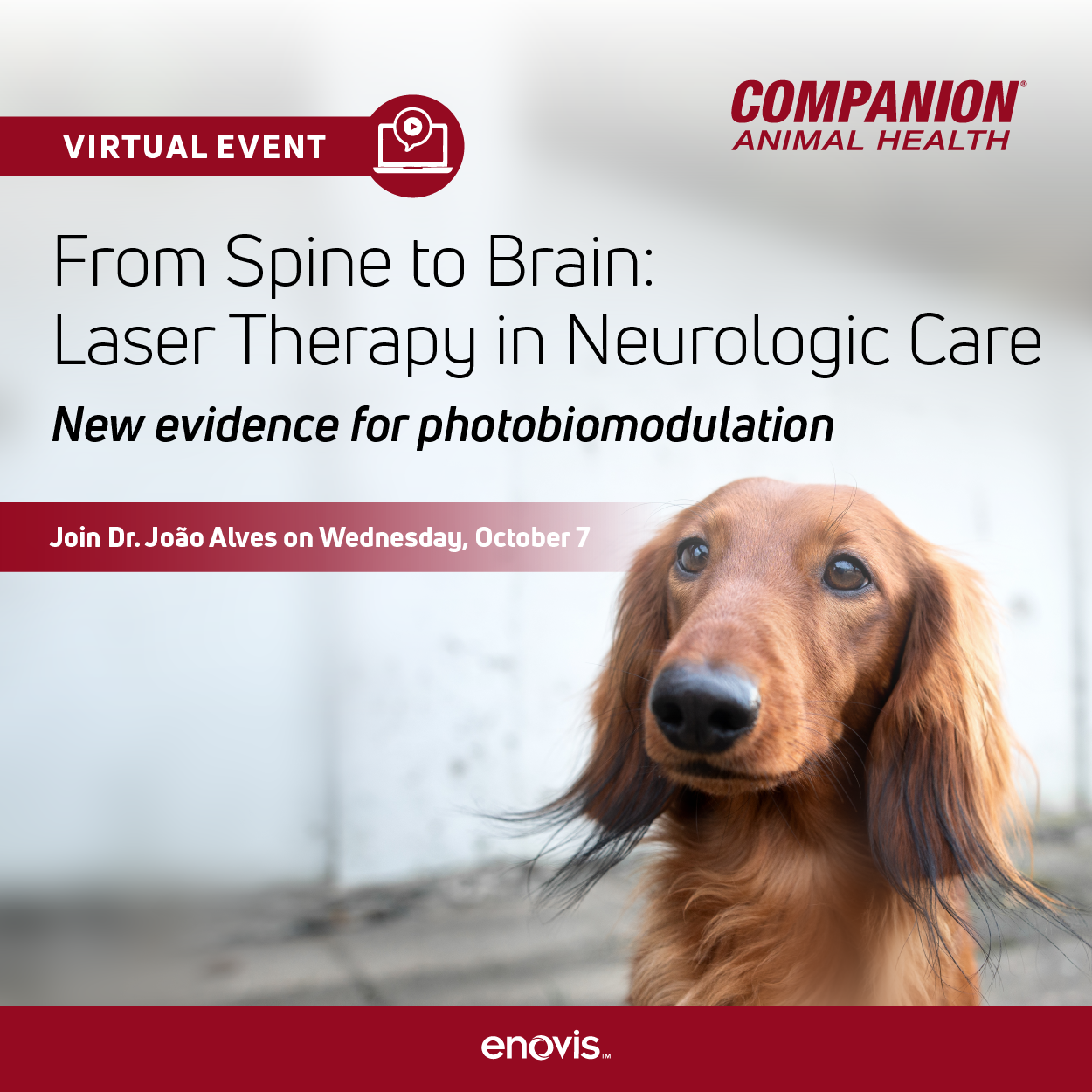 CAH_Laser Therapy from Spine to Brain-01