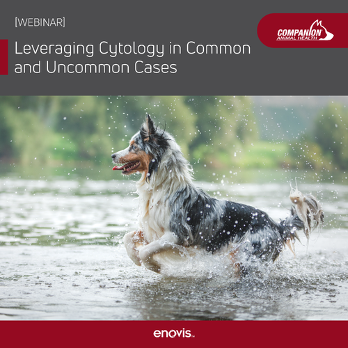 CAH_Leveraging Cytology in Common and Uncommon Cases-01-1
