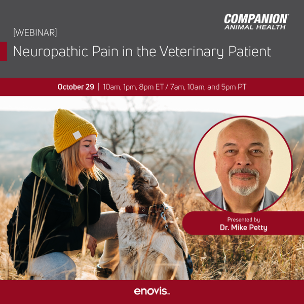 CAH_Neuropathic Pain in the Veterinary Patient-01-1
