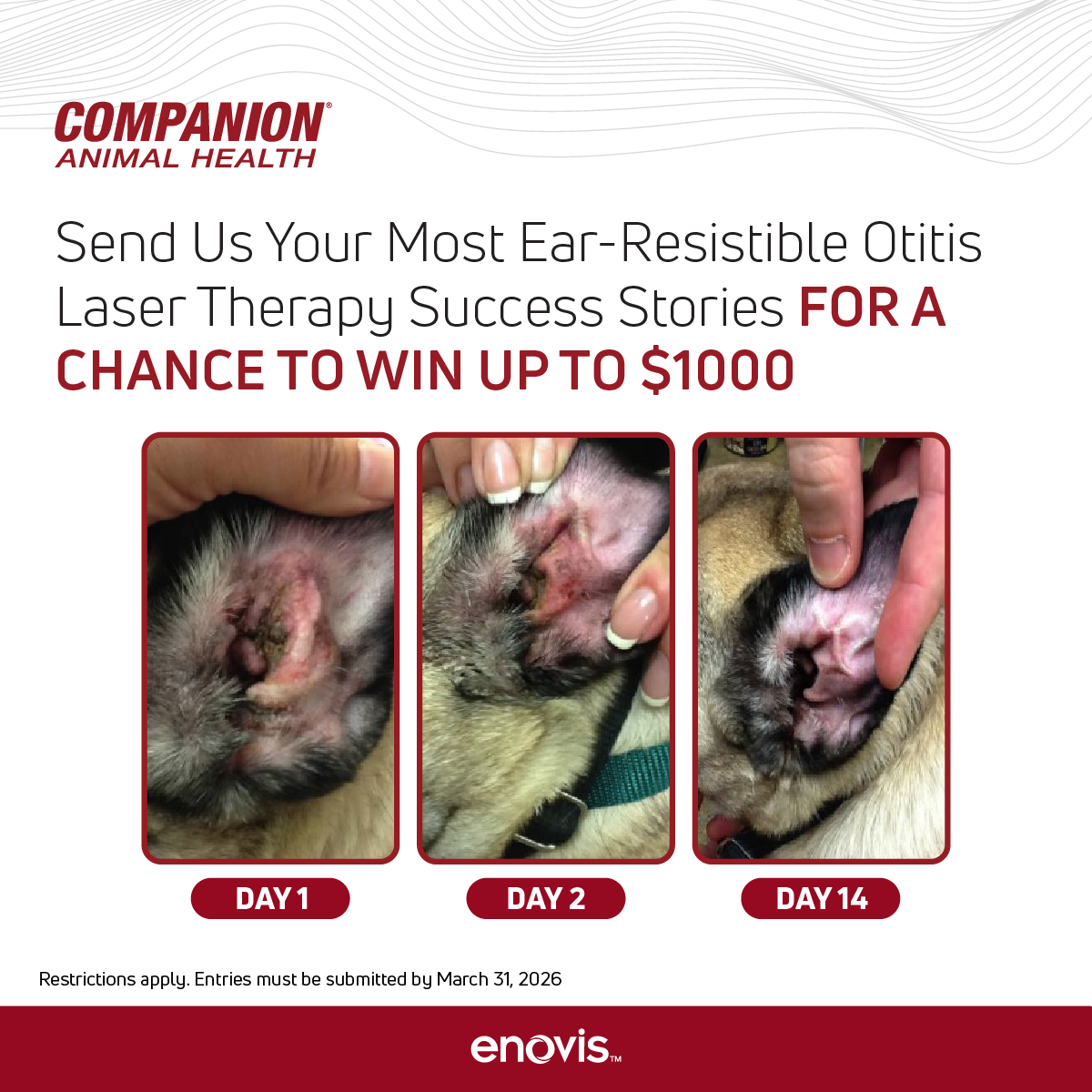 CAH_Otitis Case Submission Contest Organic Social