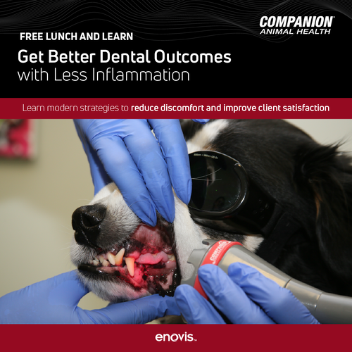CAH_Q126 Dental Lunch & Learn_Social Graphics-01 (1)-1
