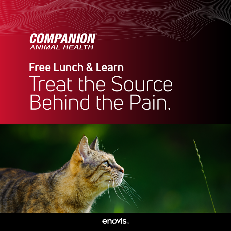 CAH_Q126 Paid Social_Unmask Pain Lunch and Learn-01-1 CAH_Q126 Paid Social_Unmask Pain Lunch and Learn-01-1