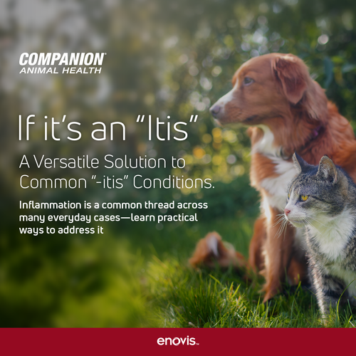 CAH_Q226 ITIS Campaign_Social Posts-01-1