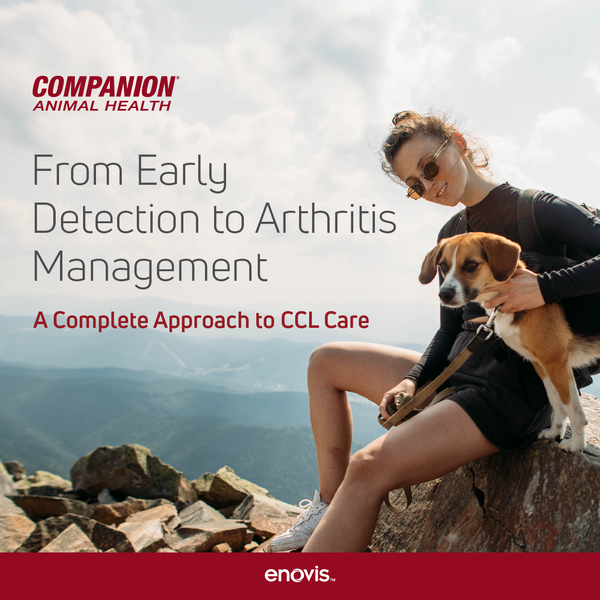 CAH_Q425 CCL Multi-Modal Bridge Campaign_Social Posts-01-1 CAH_Q425 CCL Multi-Modal Bridge Campaign_Social Posts-01-1