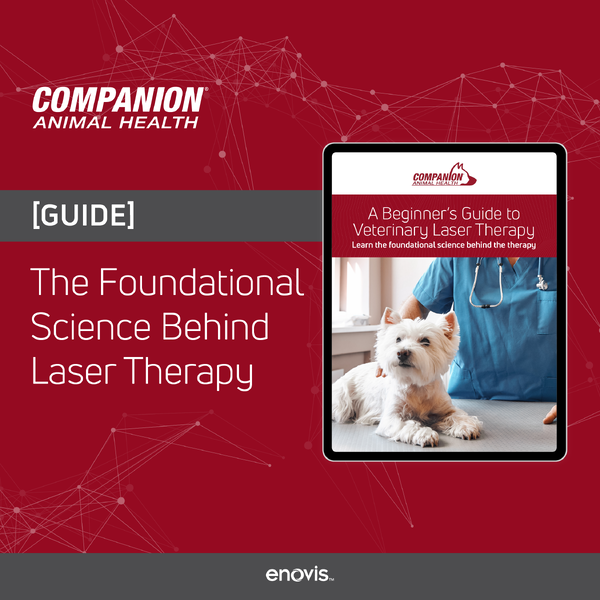 CAH_Q425 Paid Social_Beginners Guide to Laser Therapy-08-1 CAH_Q425 Paid Social_Beginners Guide to Laser Therapy-08-1