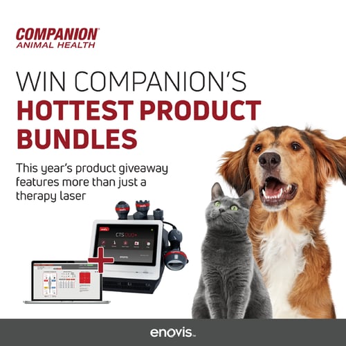 CAH_Scratch Off_paid social-01-Small