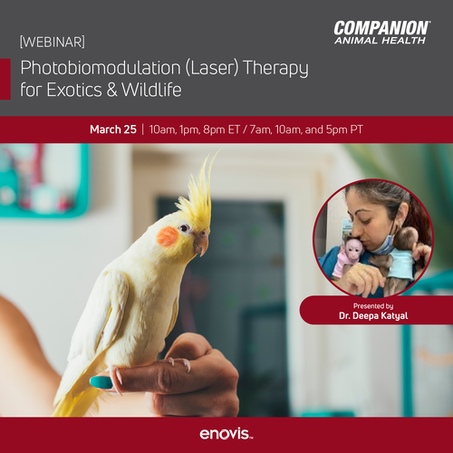 CAH_Wound and Traumatic Injury Management with Laser Therapy for Exotic Patients-01 (2)-1