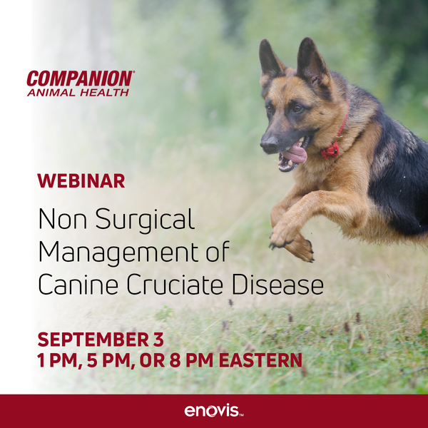 CCL Webinar Social-1