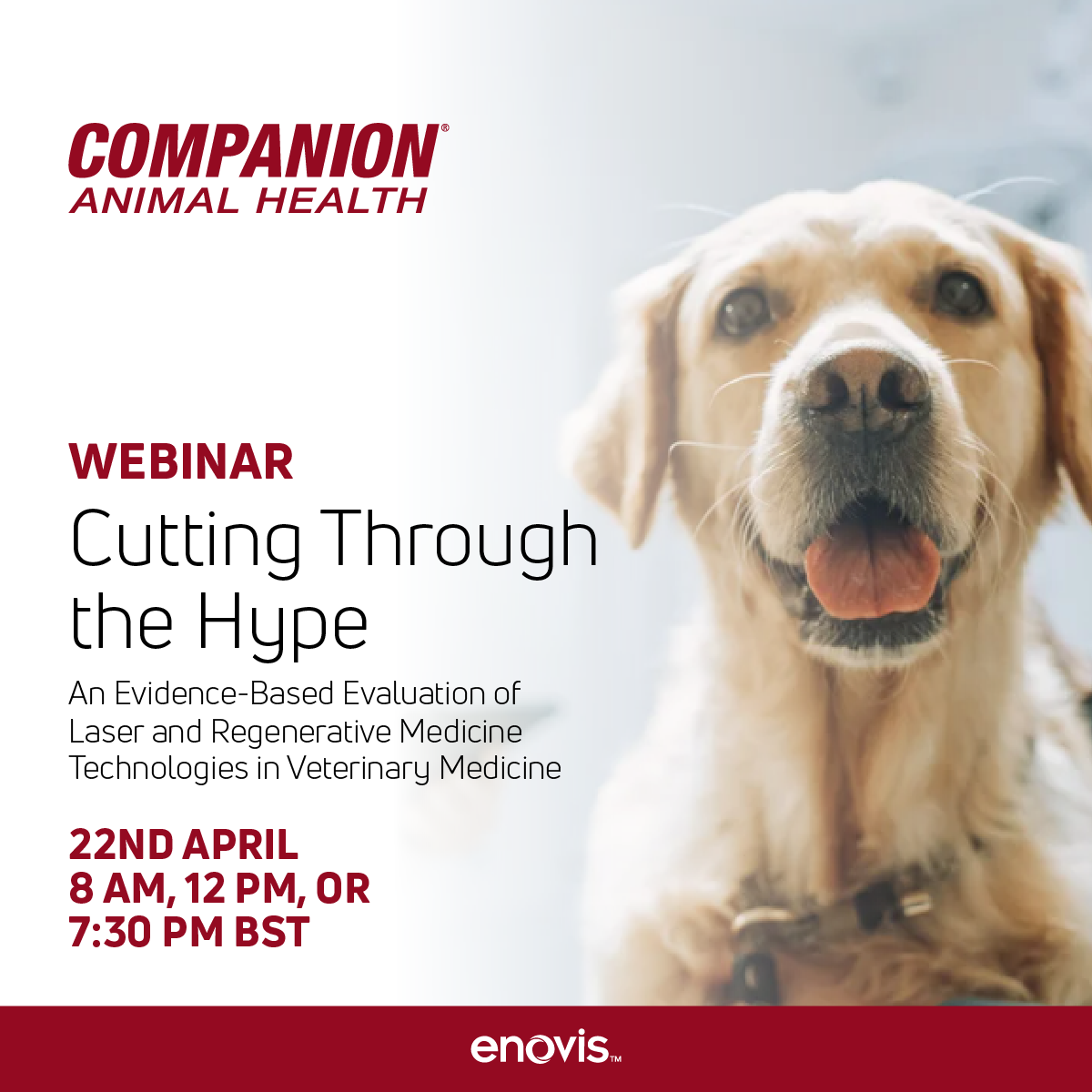 Cutting Through the Hype Webinar Social