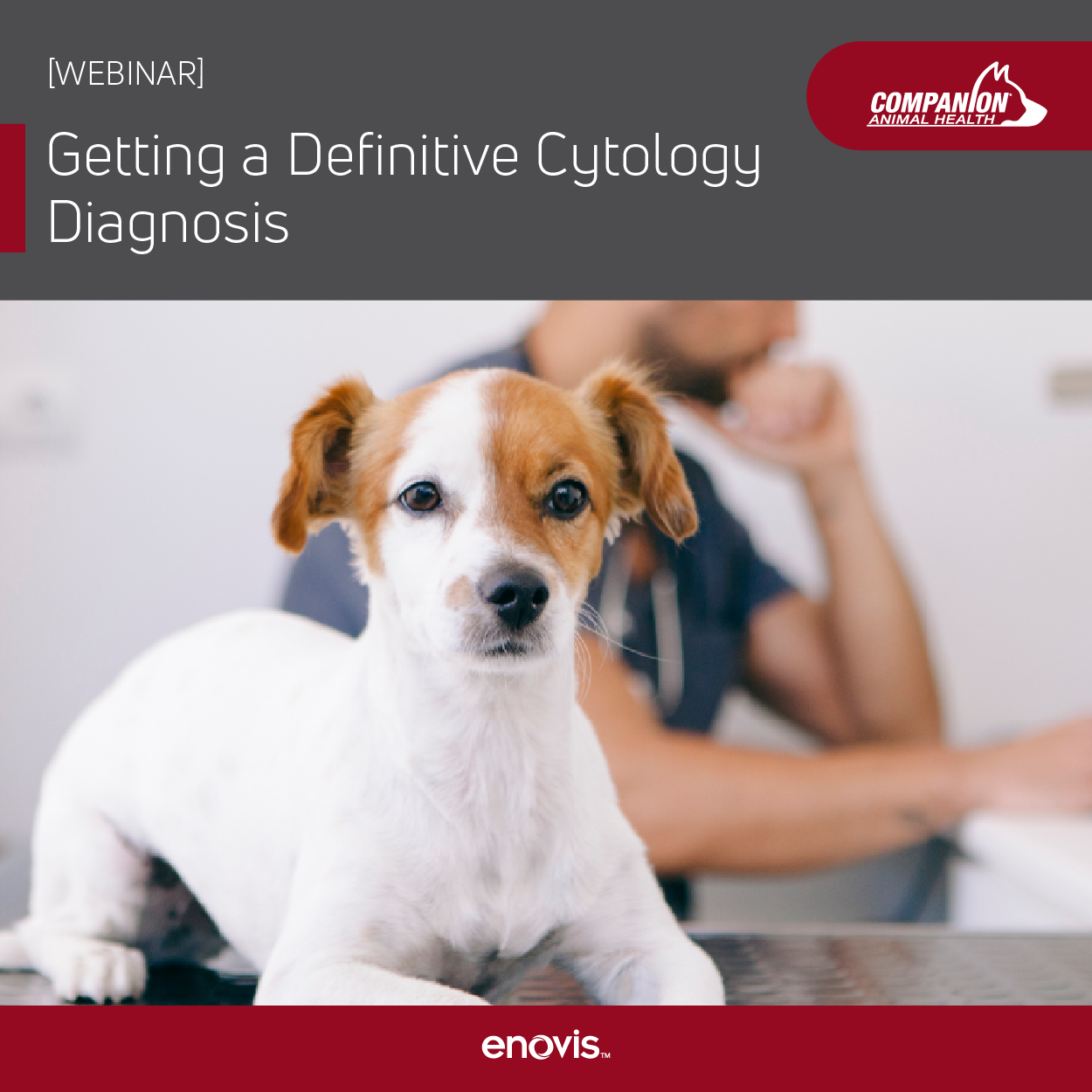 Getting a Definitive Cyctology Diagnosis-01