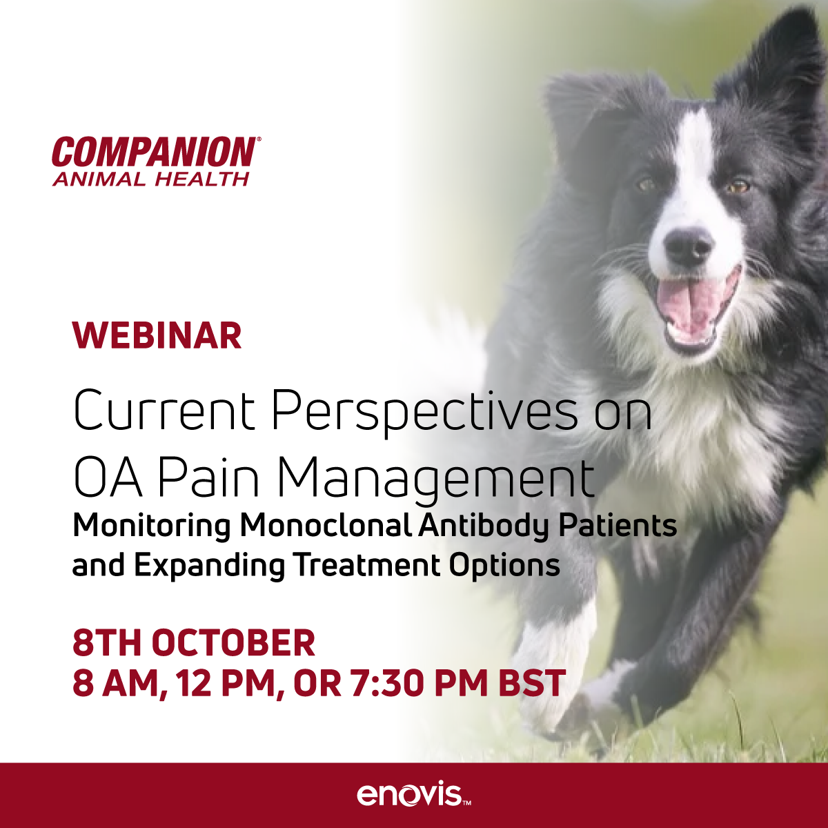 Monoclonal Anitibodies Webinar Social-1