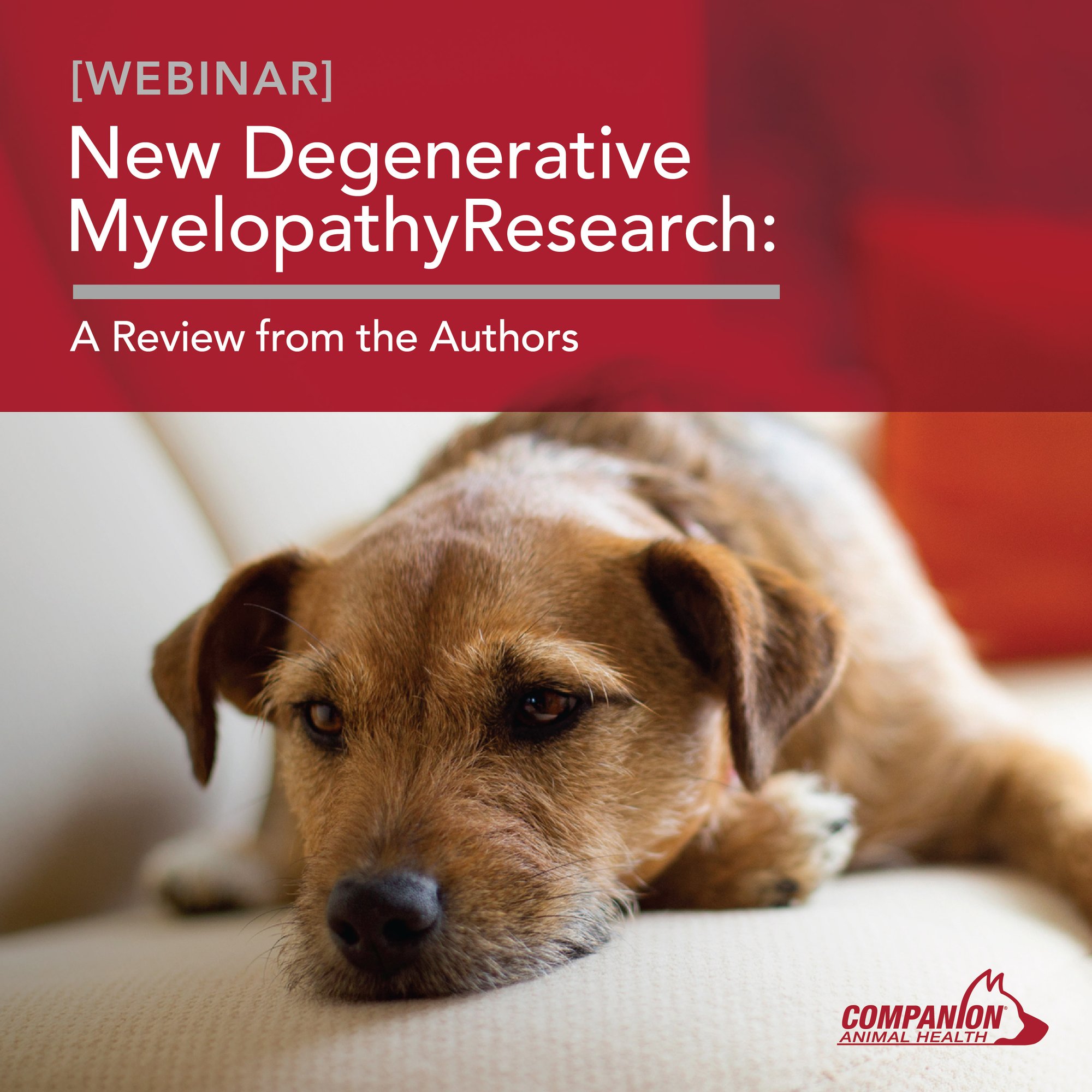 New Degenerative Myelopathy Research-02-1