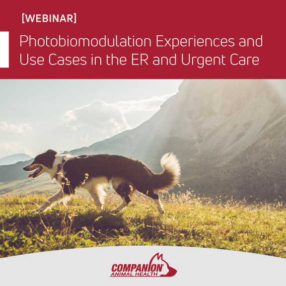 PBM Experiences and Use Cases in the ER_1