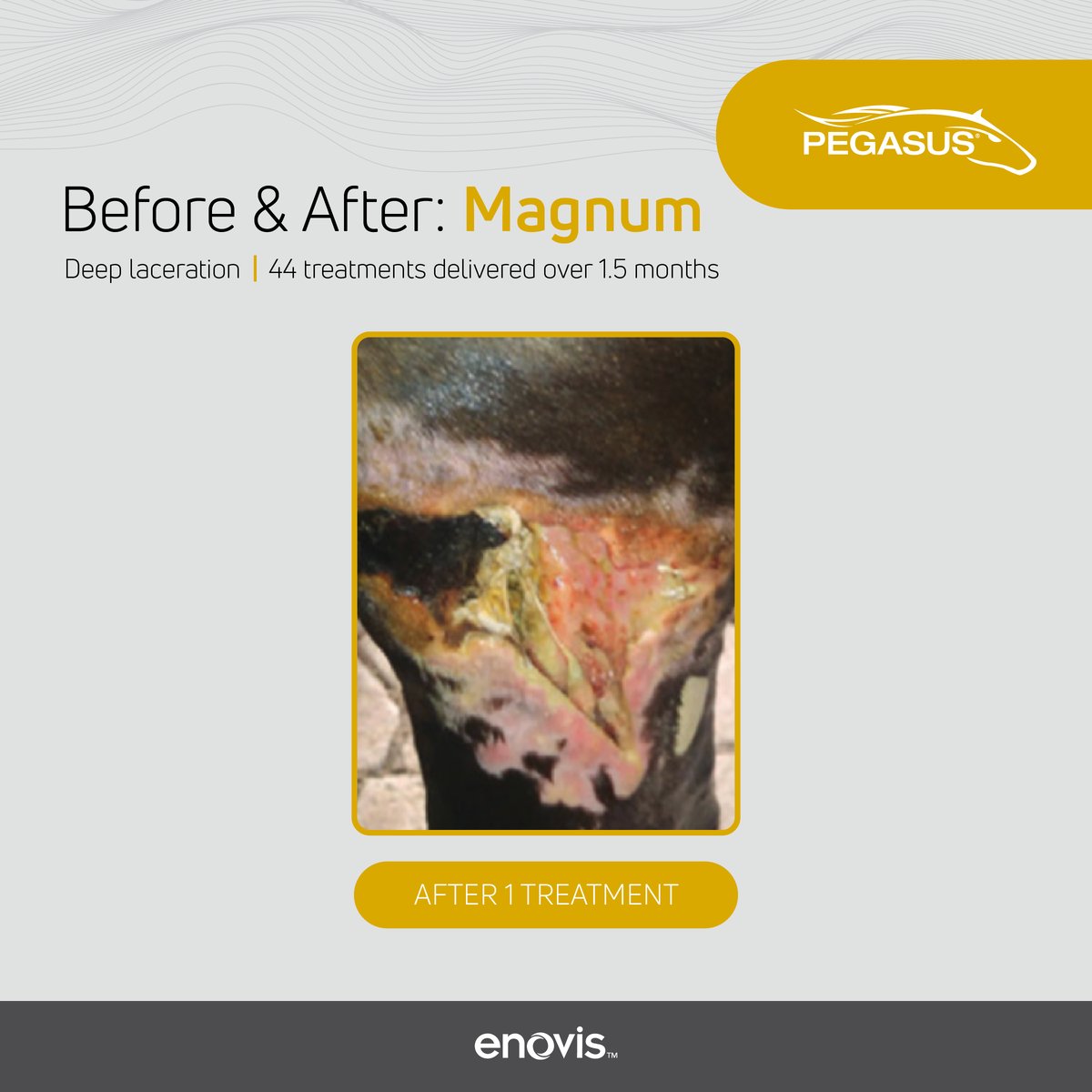 Before and After_Case Study Magnum-02