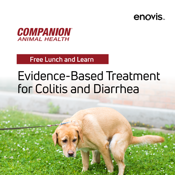 PRO-00093 A_Q226 Lunch and Learn Social Ads-11-1