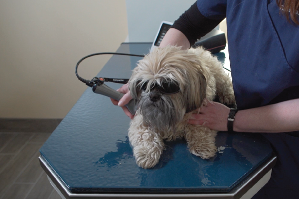 Laser Therapy