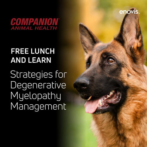 Q226 DM Dosing Lunch and Learn Social Ads-11-1 Q226 DM Dosing Lunch and Learn Social Ads-11-1