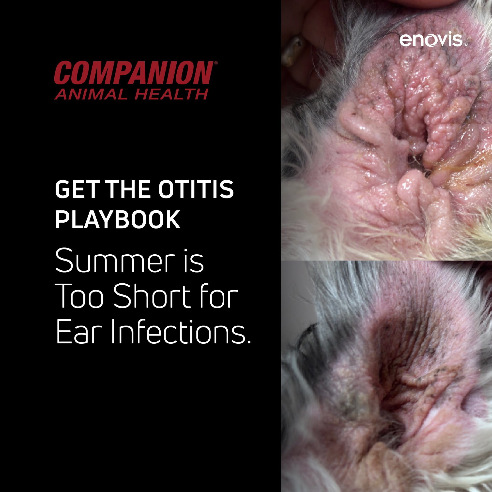 Q226 Otitis Lunch and Learn Social Ads-05