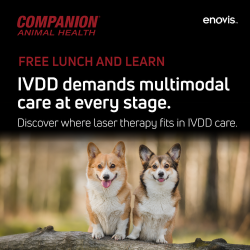 Q326 IVDD Dosing Lunch and Learn Social Ads-05-1