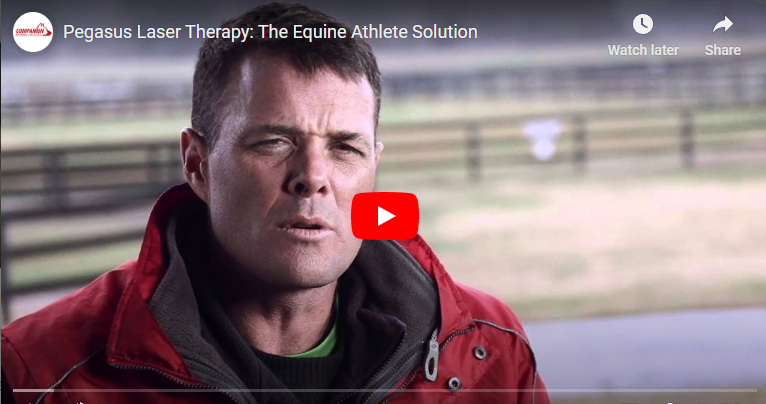 The Equine Athlete Solution
