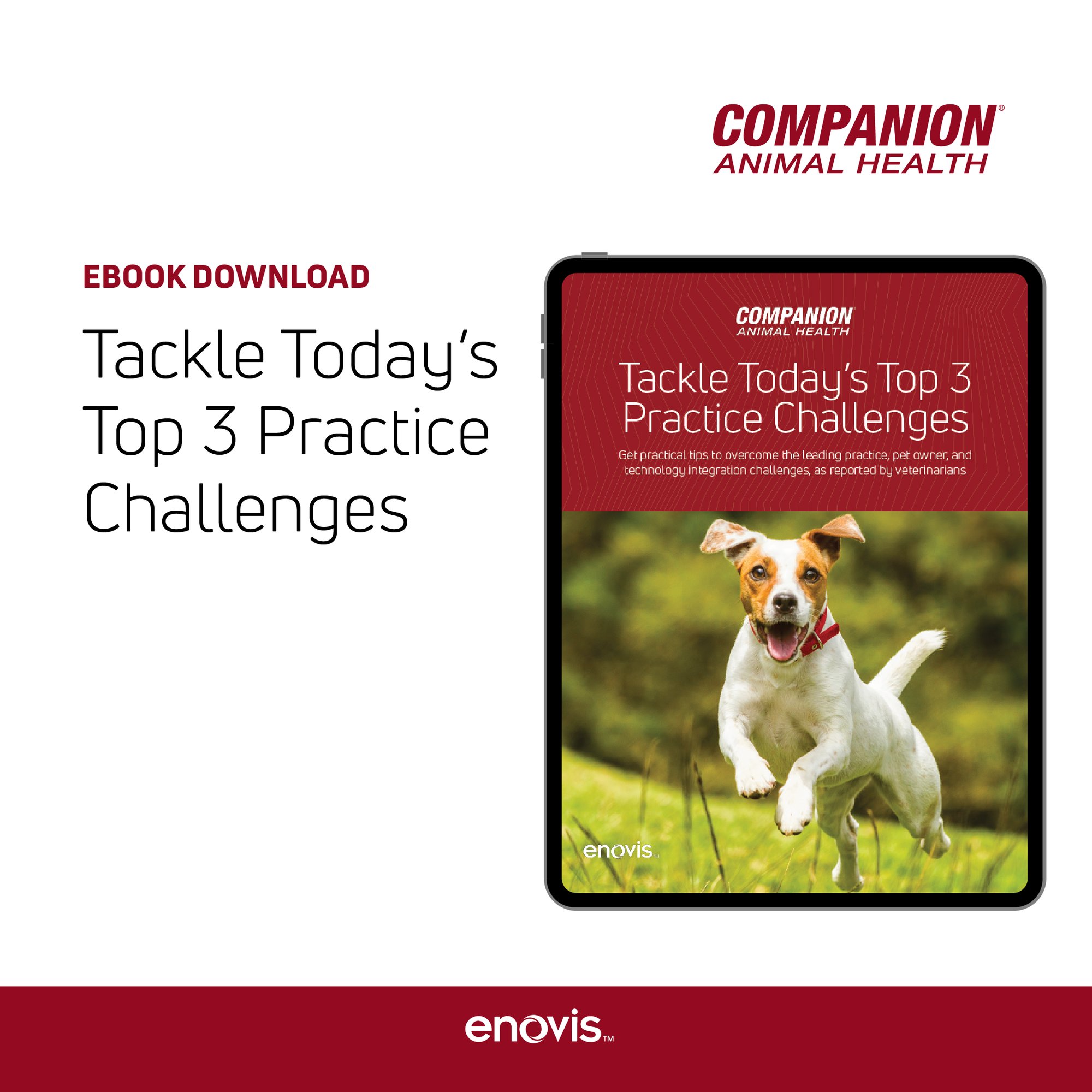 Top Challenges eBook Social-01