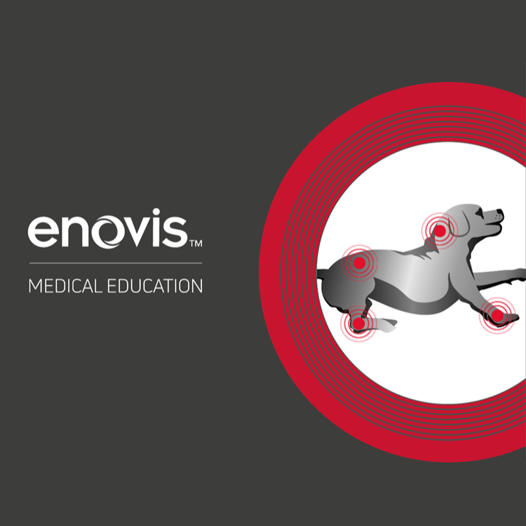 Illustration of a dog with pain points on its neck, paws, and back and the Enovis Medical Education logo