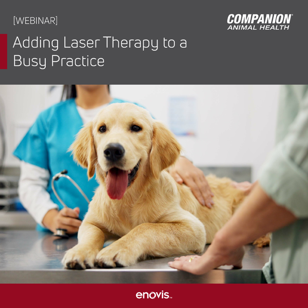 Webinar infographic advertising the Adding Laser Therapy to a Busy Practice webinar