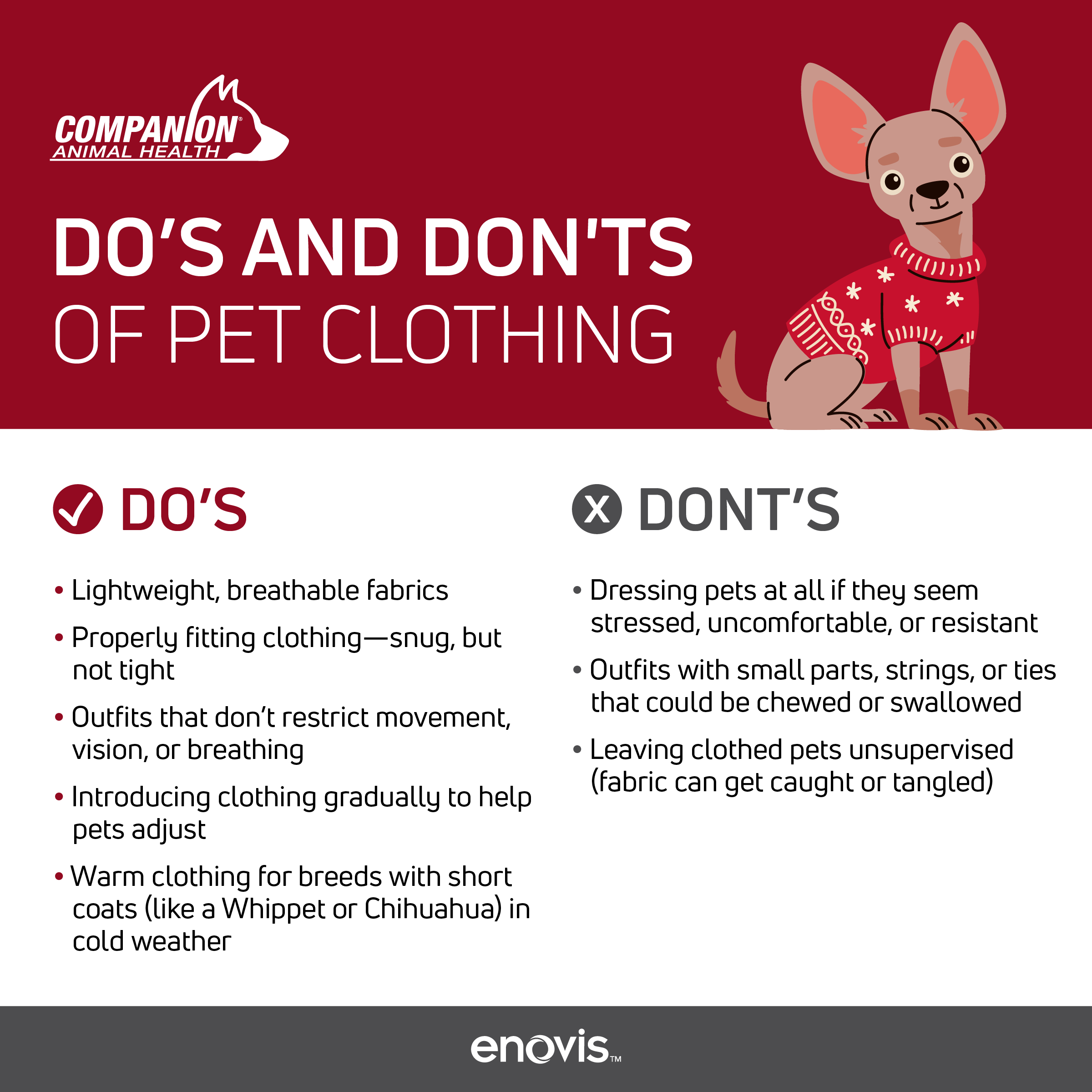 Best practices for pet clothing to share with pet owners