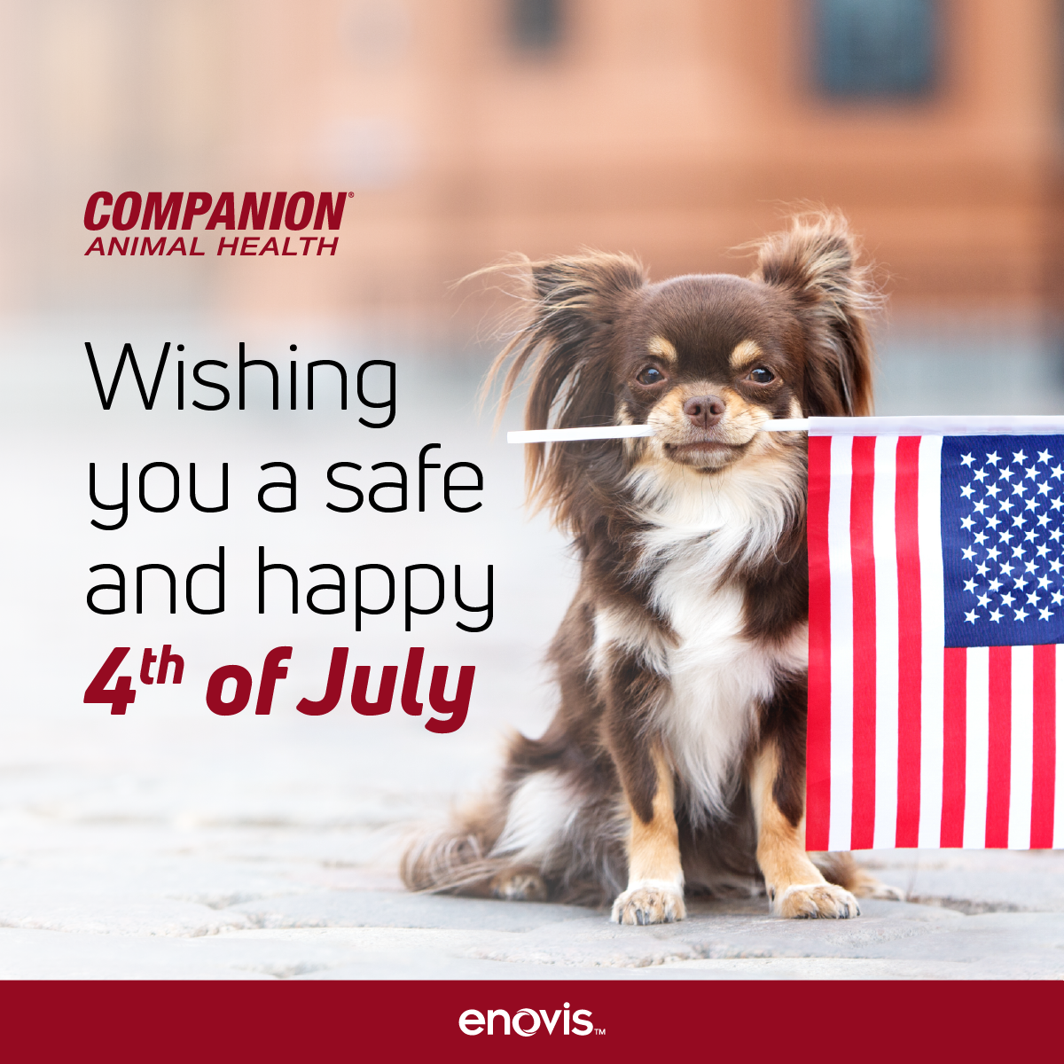 Image of a dog with an American flag in its mouth next to 