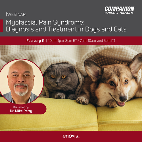 Image of a dog and a cat under 