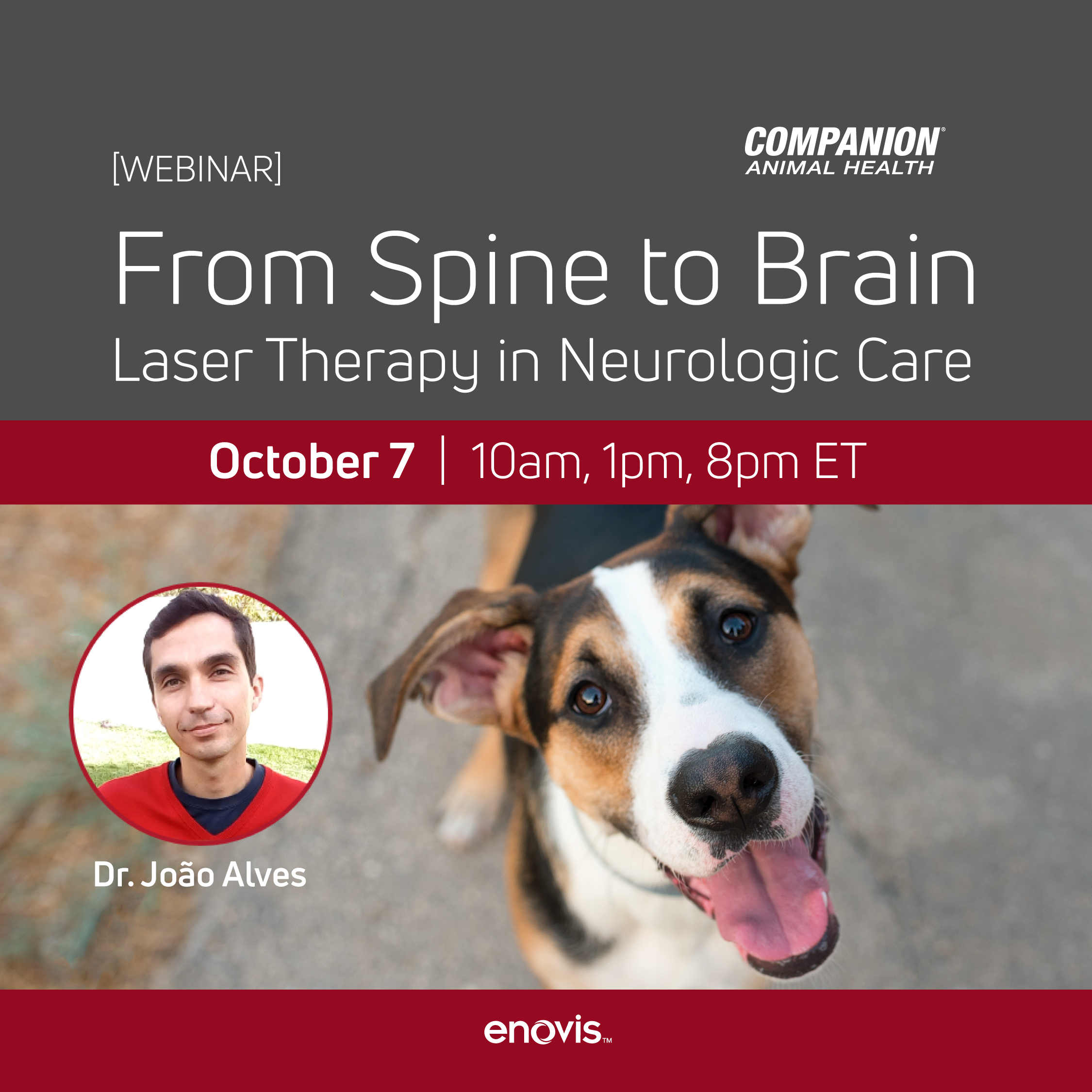 Webinar title From Spine to Brain above a photo of a happy dog and a smaller picture of Dr. Joao Alves