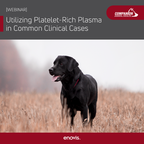 Utilizing Platelet-Rich Plasma in Common Clinical Cases