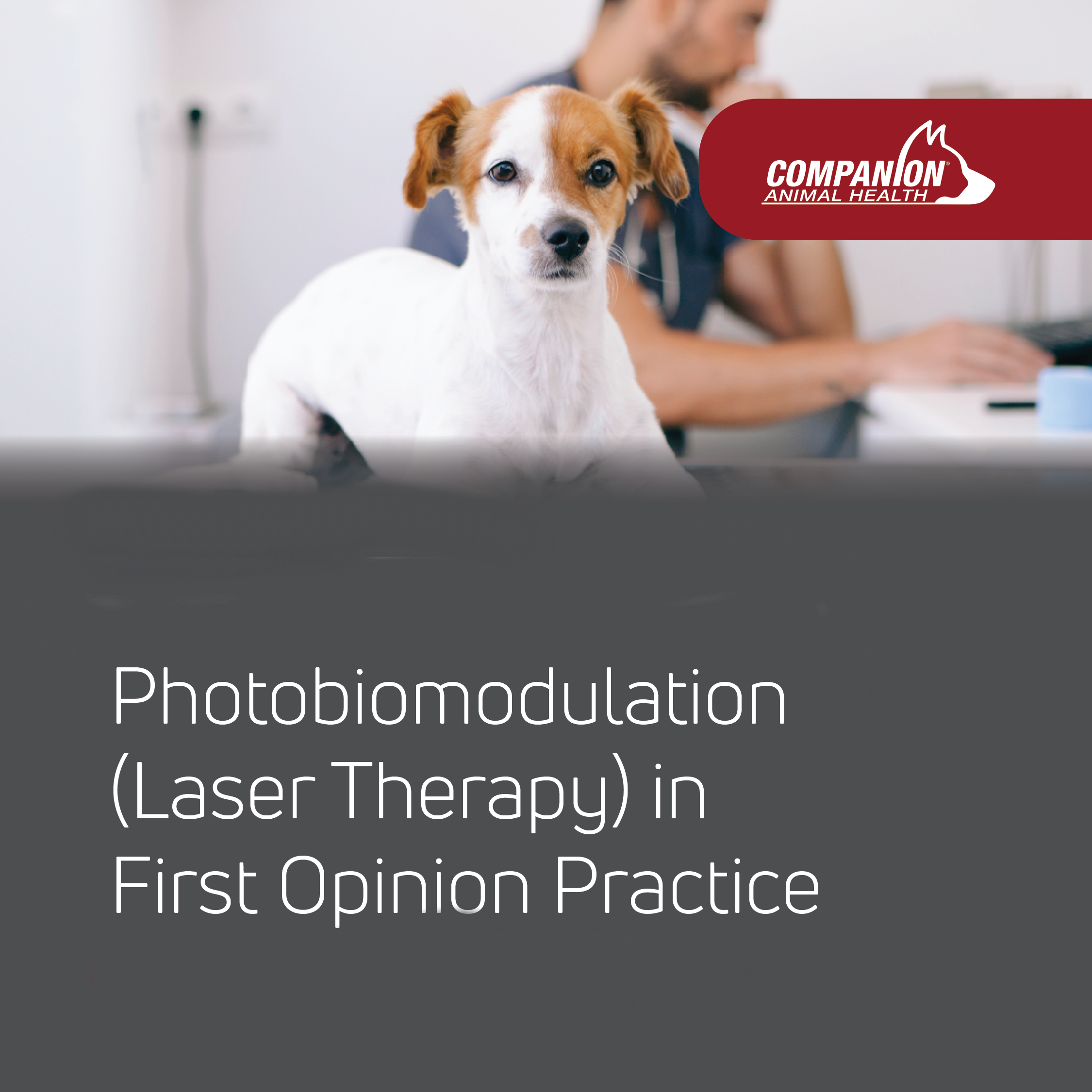 Photobiomodulation in First Opinion Practice