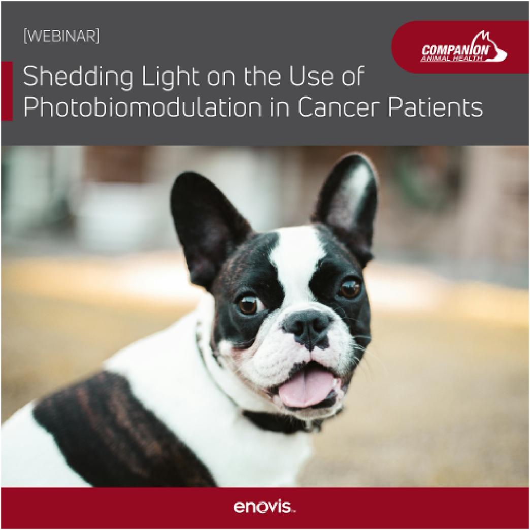 Shedding Light on the Use of Photobiomodulation in Cancer Patients